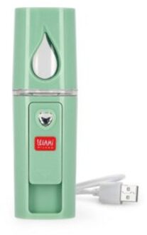 mini gezicht sprayer, oplaadbaar