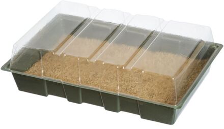 Mini Kweekkas met kokosmat 35,5x23,5x11 cm