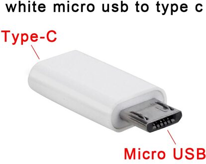 Mini Otg Micro Usb Naar Type C Jack Adapter Telefoon Opladen Datatransmissie 2 In 1 Converter Android Mobiele Micro usb Splitter 2stk wit