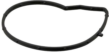 Mini Pakking, waterpomp