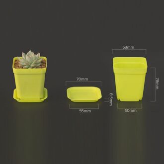 Mini Plastic Bloem Vaas + Plastic Lade Vierkante Potten Voor Vetplanten Bonsai Planter Kwekerij Potten 7 Kleur Tuin 1