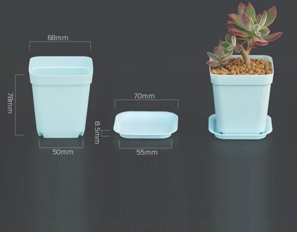 Mini Plastic Bloem Vaas + Plastic Lade Vierkante Potten Voor Vetplanten Bonsai Planter Kwekerij Potten 7 Kleur Tuin 2