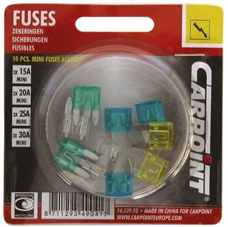 Mini Steekzekering Assortiment 15-30A 10 Stuks