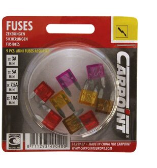 Mini Steekzekering Assortiment 3-10A 9 Stuks
