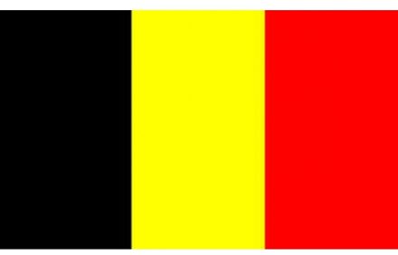 Mini vlag Belgie 60 x 90 cm