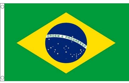 Mini vlag Brazilie 60 x 90 cm