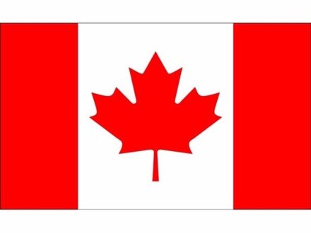 Mini vlag Canada 60 x 90 cm