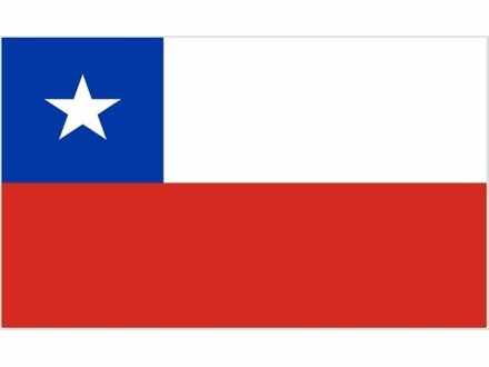 Mini vlag Chili 60 x 90 cm