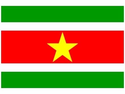 Mini vlag Suriname 60 x 90 cm Multi