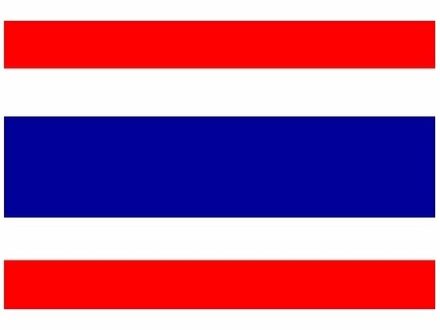 Mini vlag Thailand 60 x 90 cm Multi