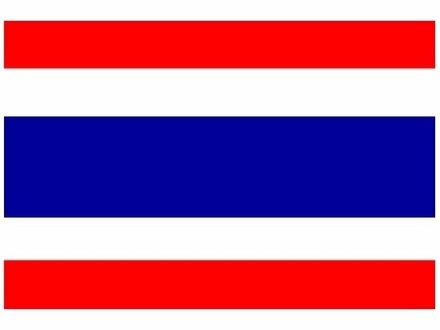 Mini vlag Thailand 60 x 90 cm