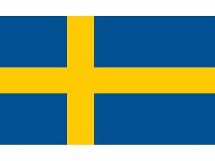 Mini vlag Zweden 60 x 90 cm