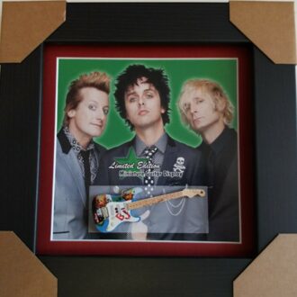 Miniatuur Gitaar van Green Day
