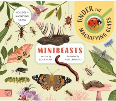 Minibeasts: Under The Magnifying Glass - Under The Magnifying Glass - Rosie Neave