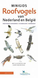 Minigids: Minigids Roofvogels van Nederland en België - Jip Louwe Kooijmans - 000