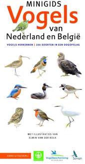 Minigids: Minigids Vogels van Nederland en België - Jip Louwe Kooijmans - 000