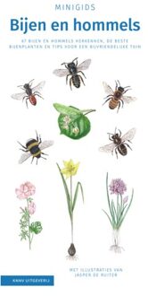 Minigids  -   Set Minigids Bijen en hommels