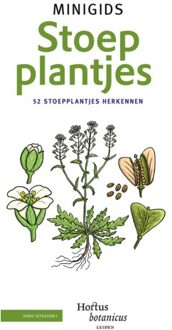 Minigids  -   Set Minigids Stoepplantjes