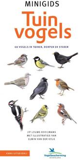 Minigids  -   Set Minigids Tuinvogels