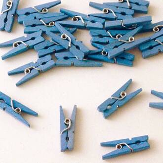 Miniknijpers Folat blauw