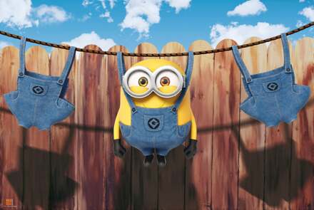 MINIONS - Poster Laundry (91.5x61)