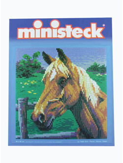 Ministeck Paard Multikleur