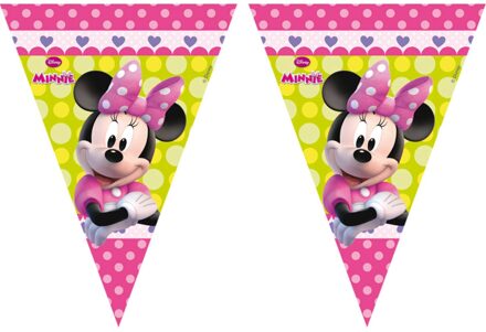 Minnie Mouse Bowtique - Vlaggenlijn 2.3m