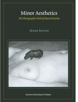 Minor aesthetics - Boek Mieke Bleyen (9058679683)