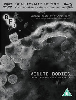 Minute Bodies