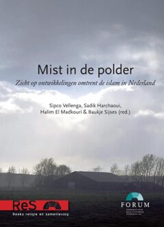 Mist in de polder - eBook Amsterdam University Press (9048521629)