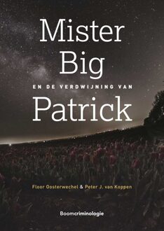 Mister Big en de verdwijning van Patrick - Floor Oosterwechel, Peter J. van Koppen - ebook