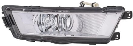 Mistlamp Skoda Rapid (NH3) re 12-17 chroom H8 1NG354844081