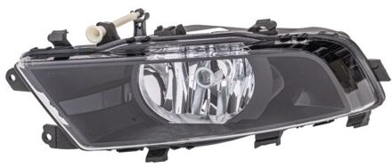 Mistlamp Skoda Superb 08-15 Rapid 12- li H8 1NG354844111