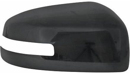 Mitsubishi Afdekking, buitenspiegel 5830124