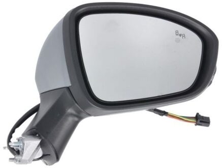 Mitsubishi Buitenspiegel 5402092313315P