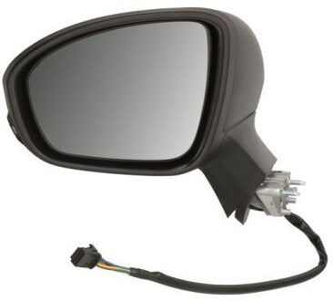 Mitsubishi Buitenspiegel 5402092313316P