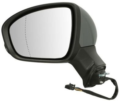 Mitsubishi Buitenspiegel 5402092345314P