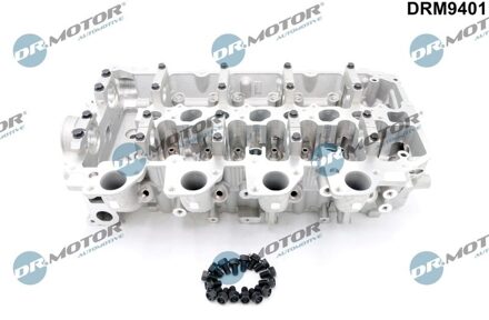 Mitsubishi Cilinderkop DRM9401