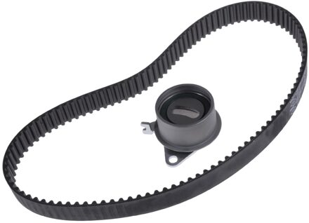 Mitsubishi Distributieriemset