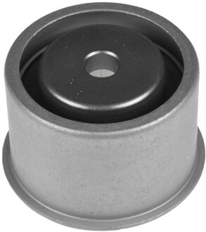 Mitsubishi Geleide rol/omdraairol getande riem