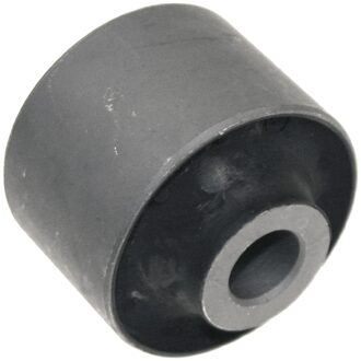 Mitsubishi Lagerbus, wieldraagarm