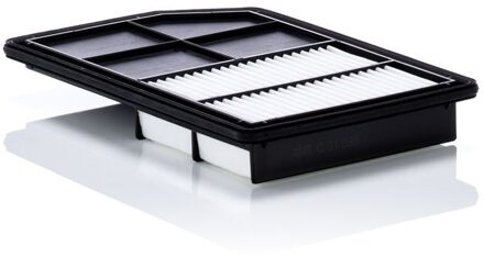 Mitsubishi Luchtfilter C31038