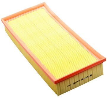 Mitsubishi Luchtfilter CA0250