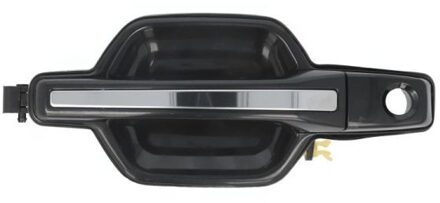 Mitsubishi Portiergreep buitenkant 6010150933402P