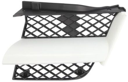 Mitsubishi Radiateurgrille 6502073749991P