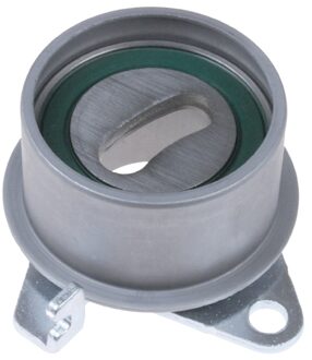 Mitsubishi Riemspanner, tandriem