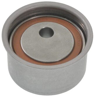 Mitsubishi Riemspanner, tandriem