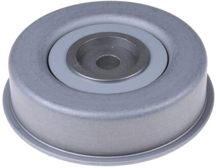 Mitsubishi Spanrol, Poly V-riem