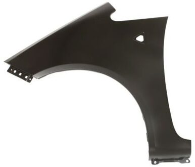 Mitsubishi Spatbord 6504043711311P