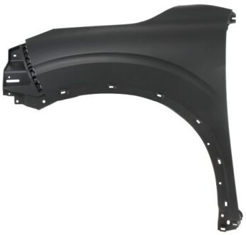 Mitsubishi Spatbord 6504043756311P